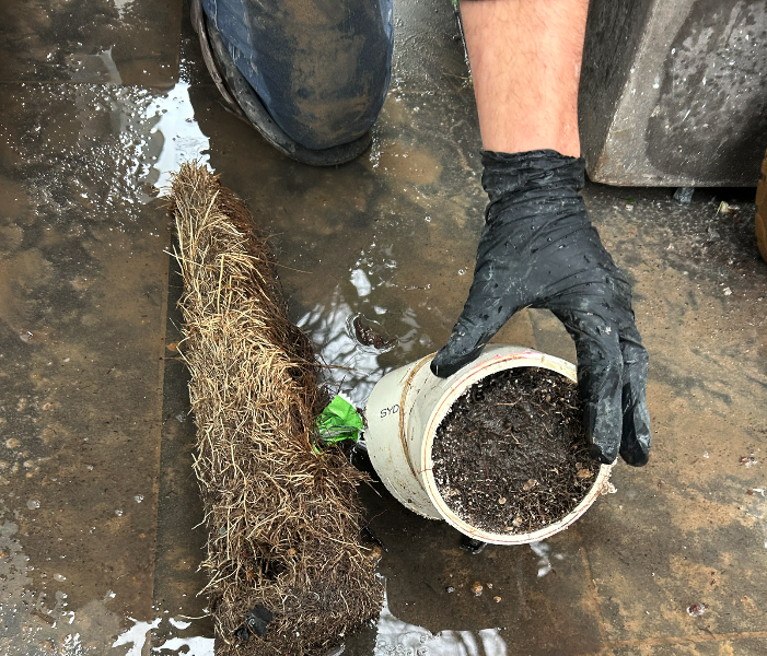 a pipe blocked by a blocked drain